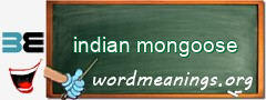 WordMeaning blackboard for indian mongoose